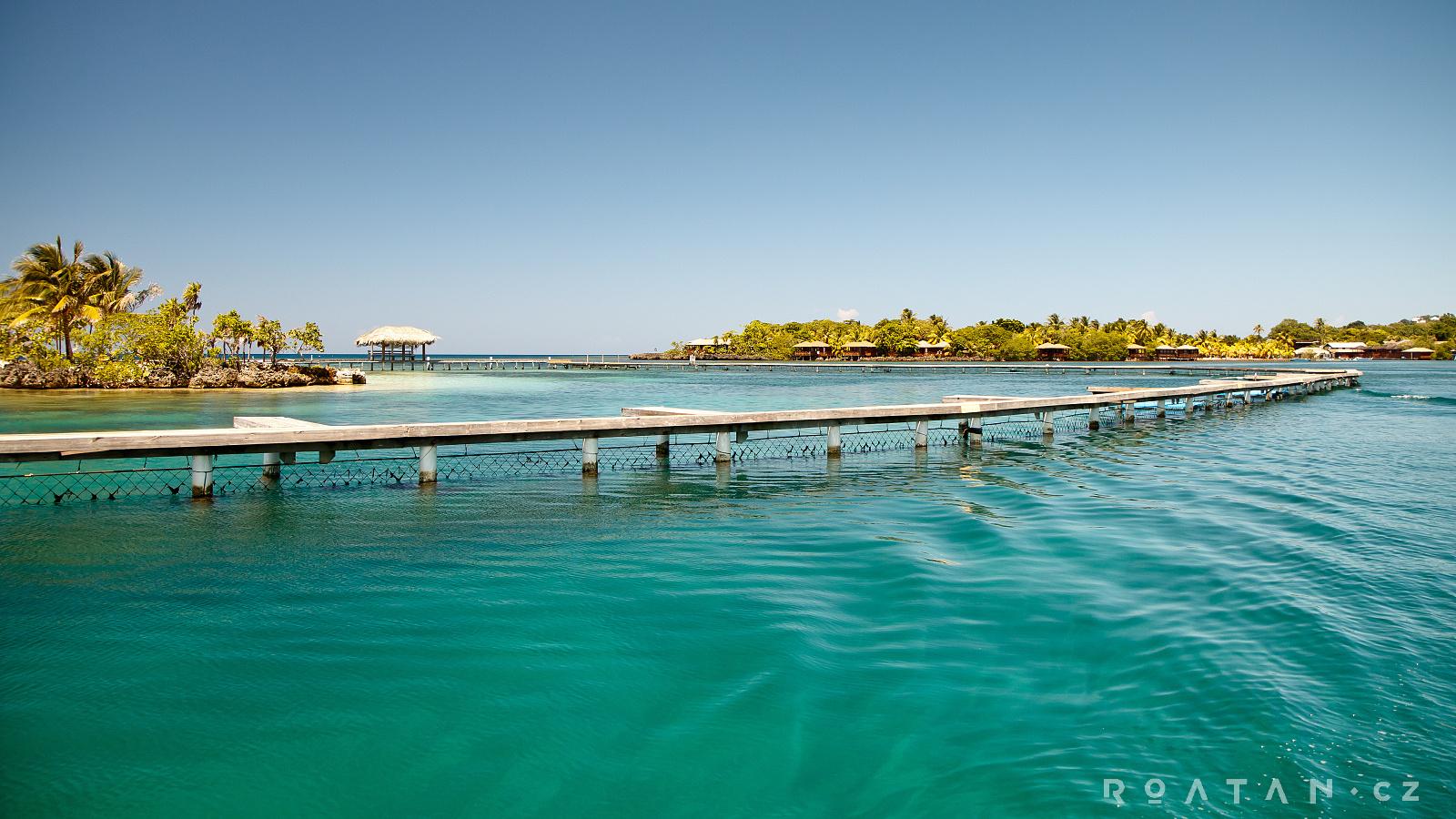 ROATAN.cz - dovolená v Karibiku na ostrově Roatán