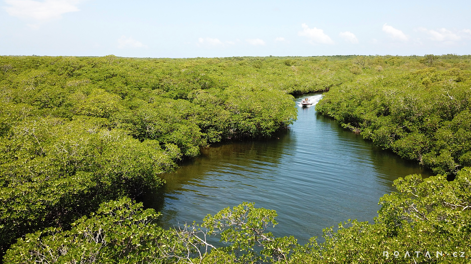 Nesmíte vynechat mangrovy