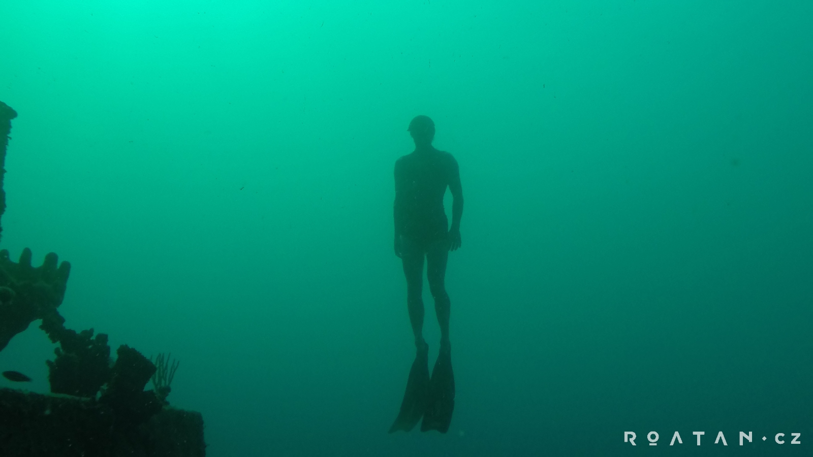 Freediving v Karibiku