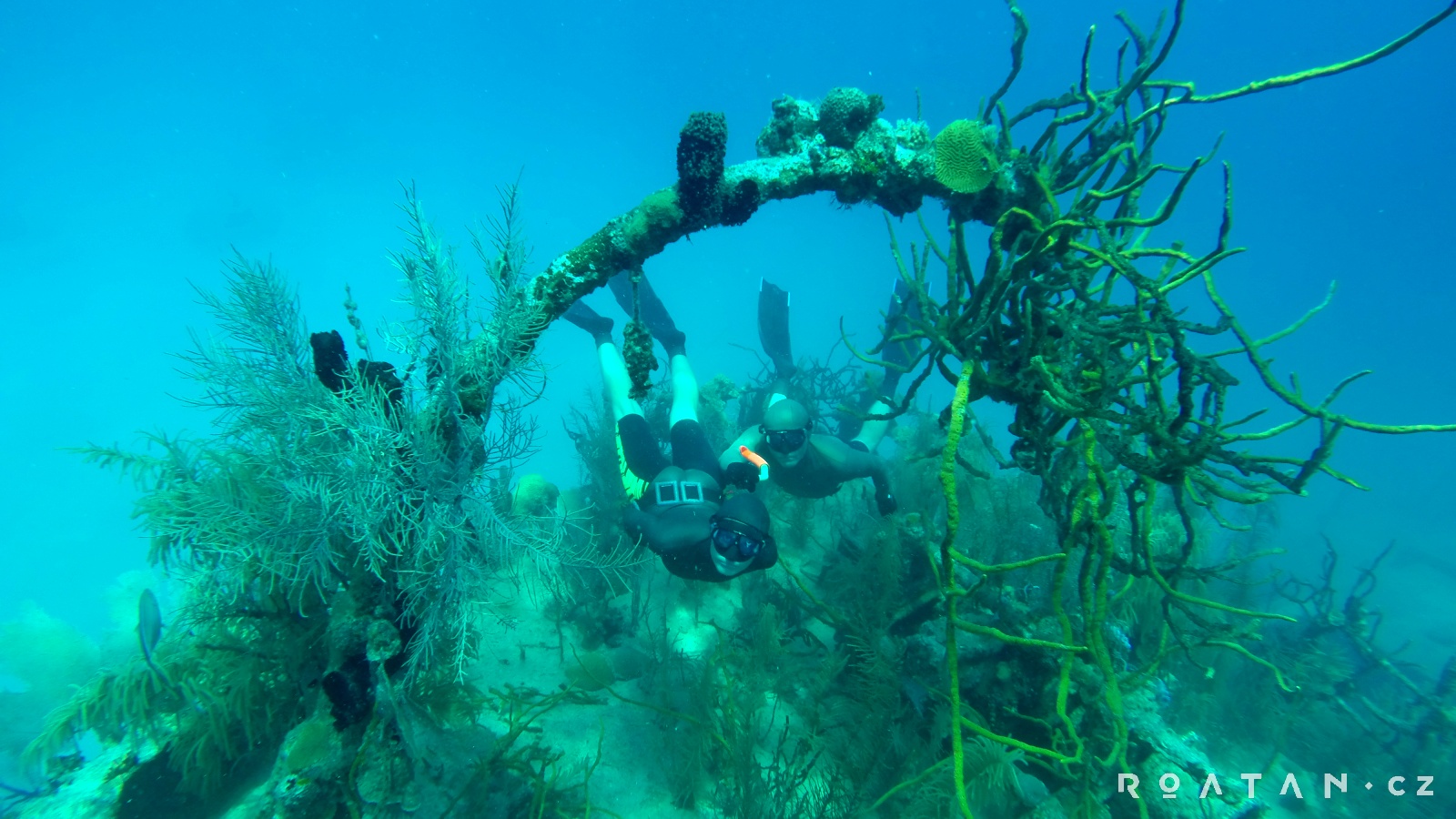 Freediving v Karibiku