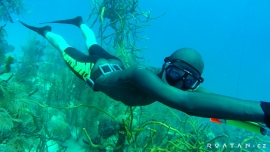 Freediving