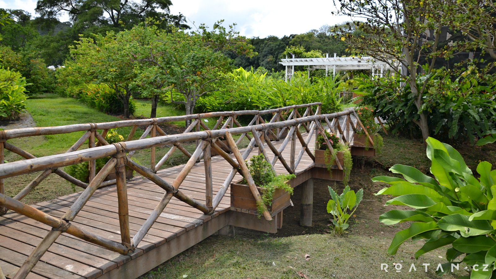 Tropical Arboretum